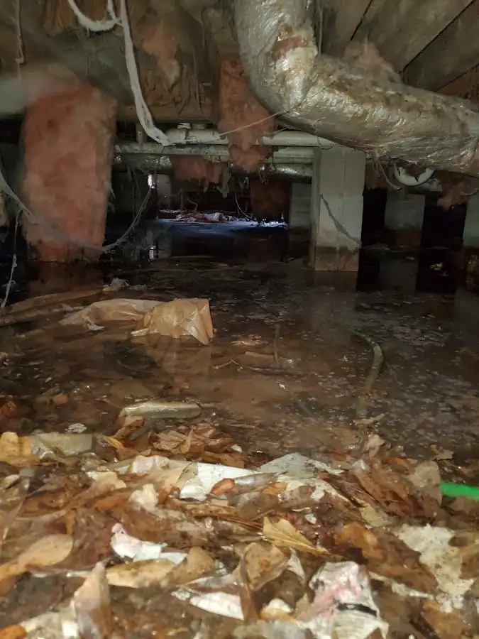 Crawl space flood assessment for Leak Detection & Repair in La Riviera